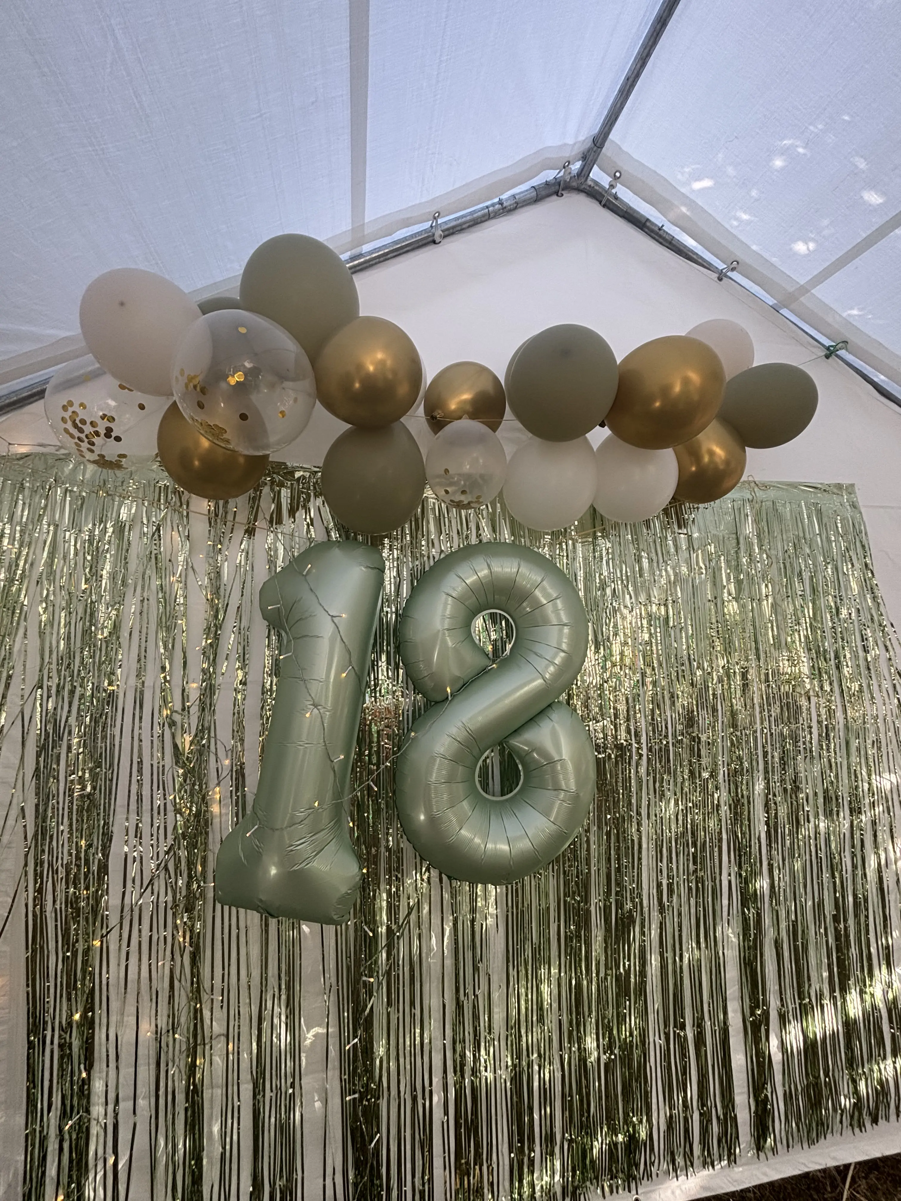 Anniversaire 18 ans à Auxerre - photo 2